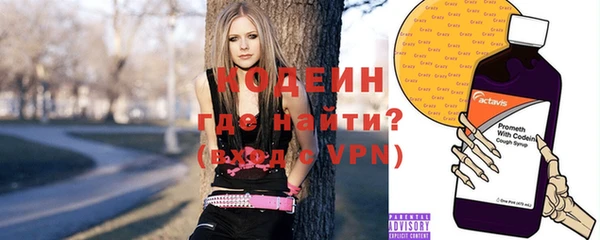 гашик Арсеньев