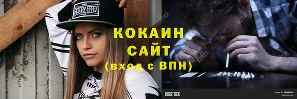сатива Аркадак