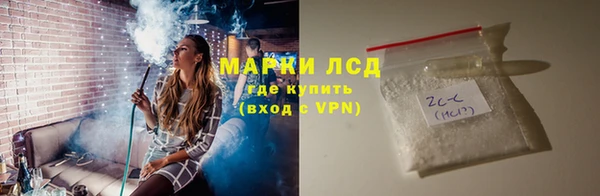 сатива Аркадак