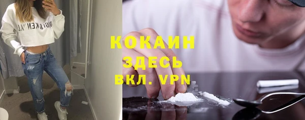 гашик Арсеньев