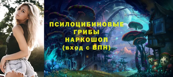 сатива Аркадак