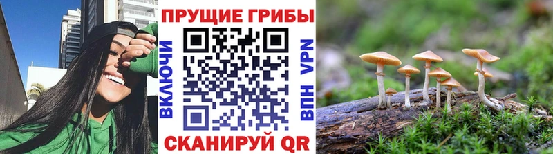 блэк спрут tor  купить наркотики цена  Билибино  Псилоцибиновые грибы мухоморы 